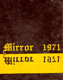 2010 Mirror Cover Ilion