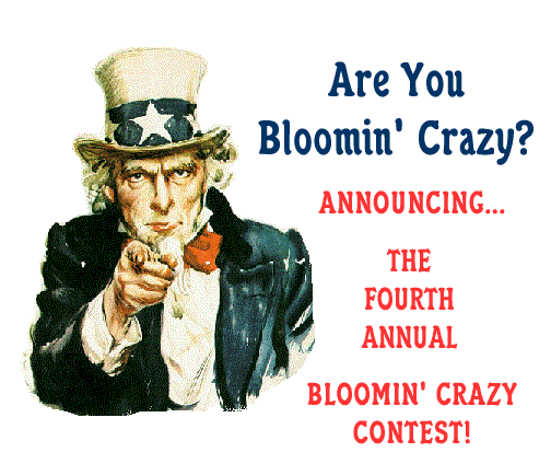 bloomin poster