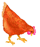 hen